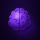 BRAIN logo