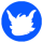 LONG logo