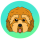 CPOO logo