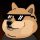 DANKDOGE logo