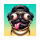 DAWG logo