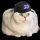 FOMOCAT logo