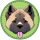 GATSBY logo