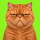 GRUMPY logo