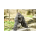 HARAMBE logo
