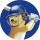 IPL logo