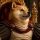 DOGEUS logo