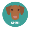 HVI logo