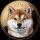 KUMA logo