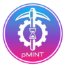 PMINT logo