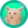 SMUDCAT logo