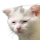 TIRED logo