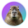 CAPY logo