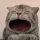 MAOW logo