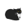 CAT logo