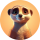 MKAT logo