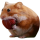 NOMNOM logo