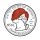 GINGER logo