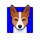 BENJI logo