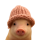PIGWIF logo