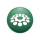 PINTO logo