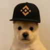 PUP logo