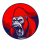 REDFEG logo