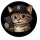 SEECAT logo