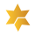 STARX logo