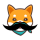 STASH logo