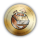 SURF logo
