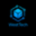 WST logo