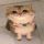 YARNCAT logo