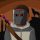 Dorrel_ADAMS