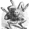 Demon