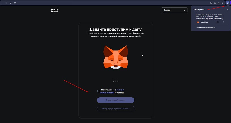 Как выглядит стартовый экран
