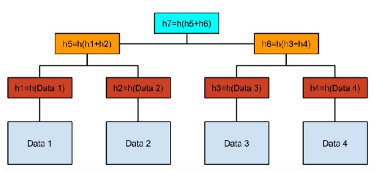 Схема Merkle Tree