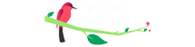 Fructorum