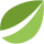 Bitfinex