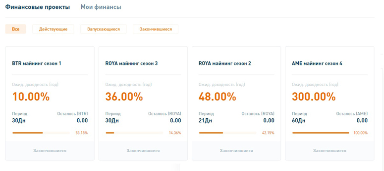 Выбор криптоактива для инвестирования