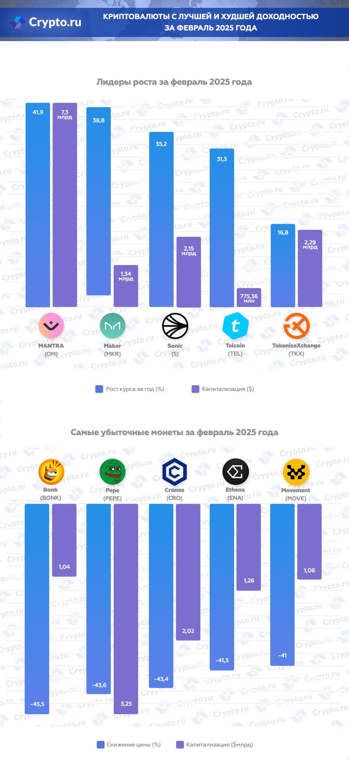 Инфографика