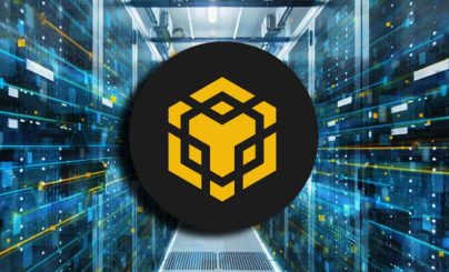 Бинанс волет