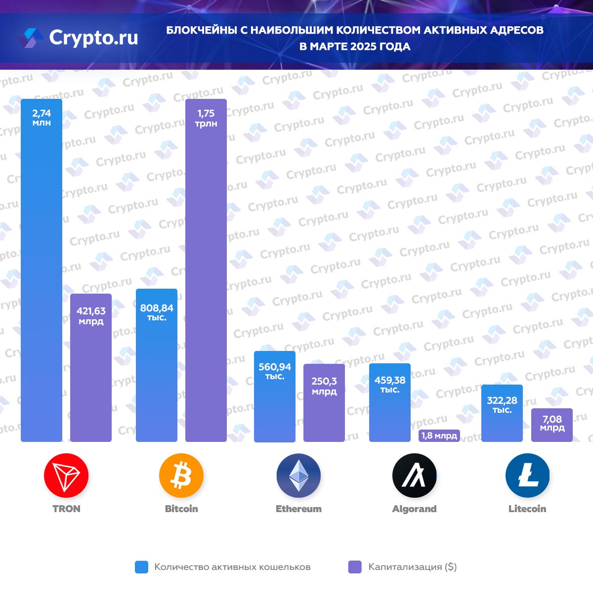 Инфографика