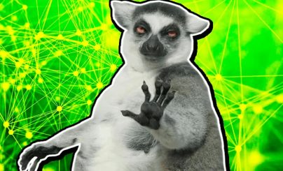 Memes