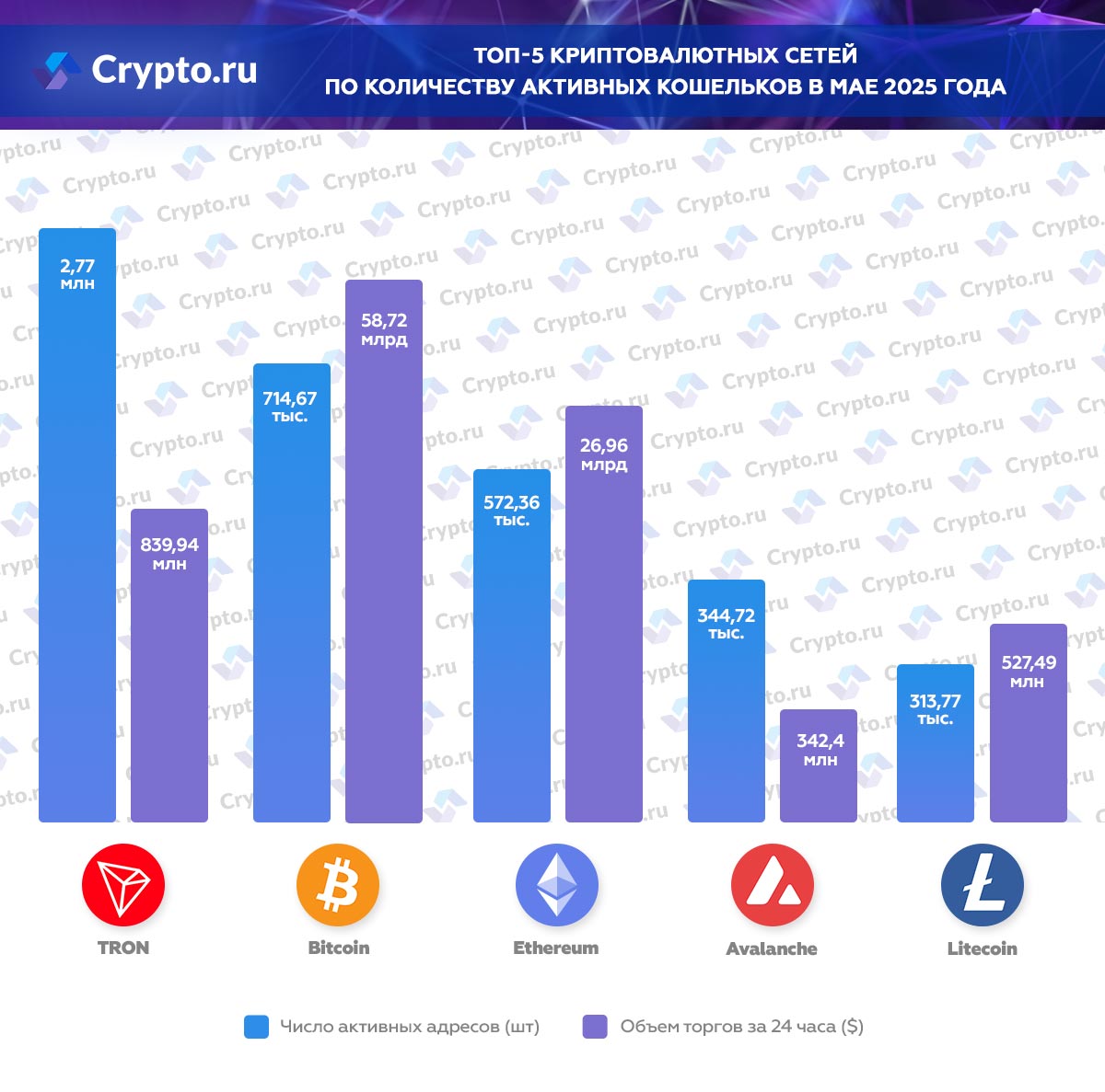Инфографика