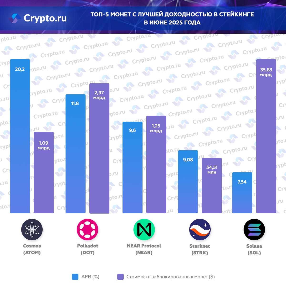 Инфографика