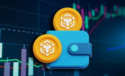 Бинанс волет
