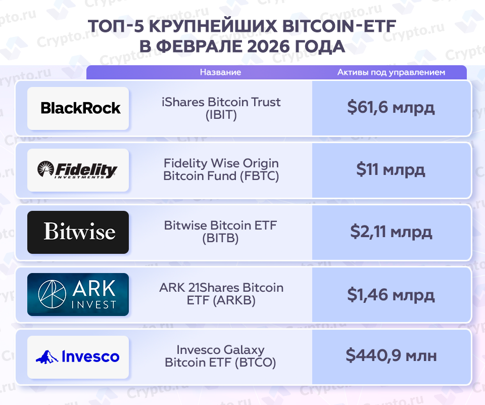 Инфографика