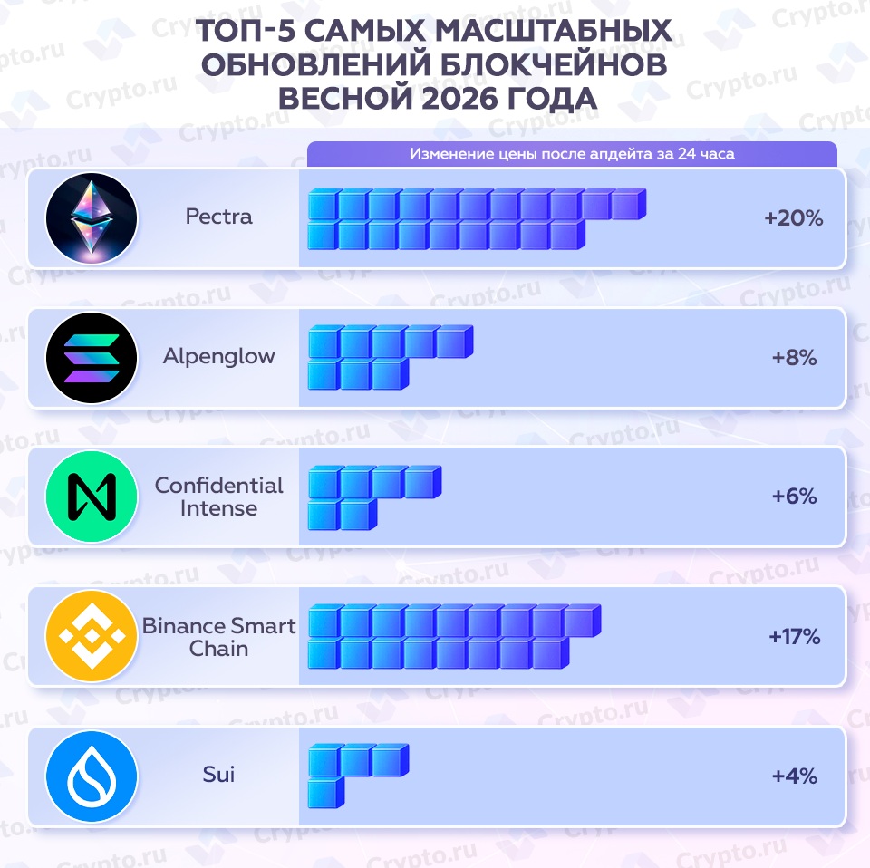 Инфографика