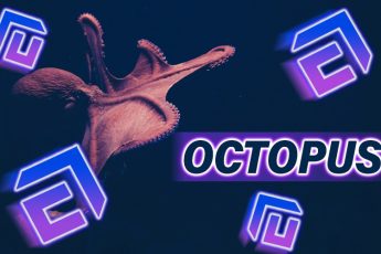 Алгоритм майнинга Octopus